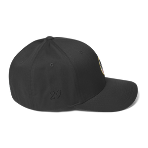 Panthers Fitted Cap