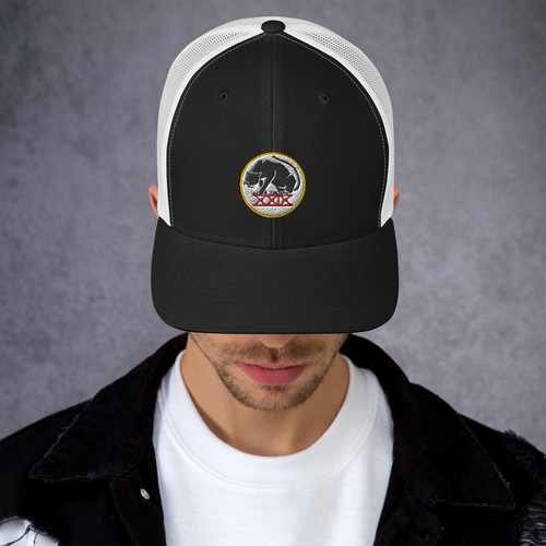 Panthers Trucker Cap