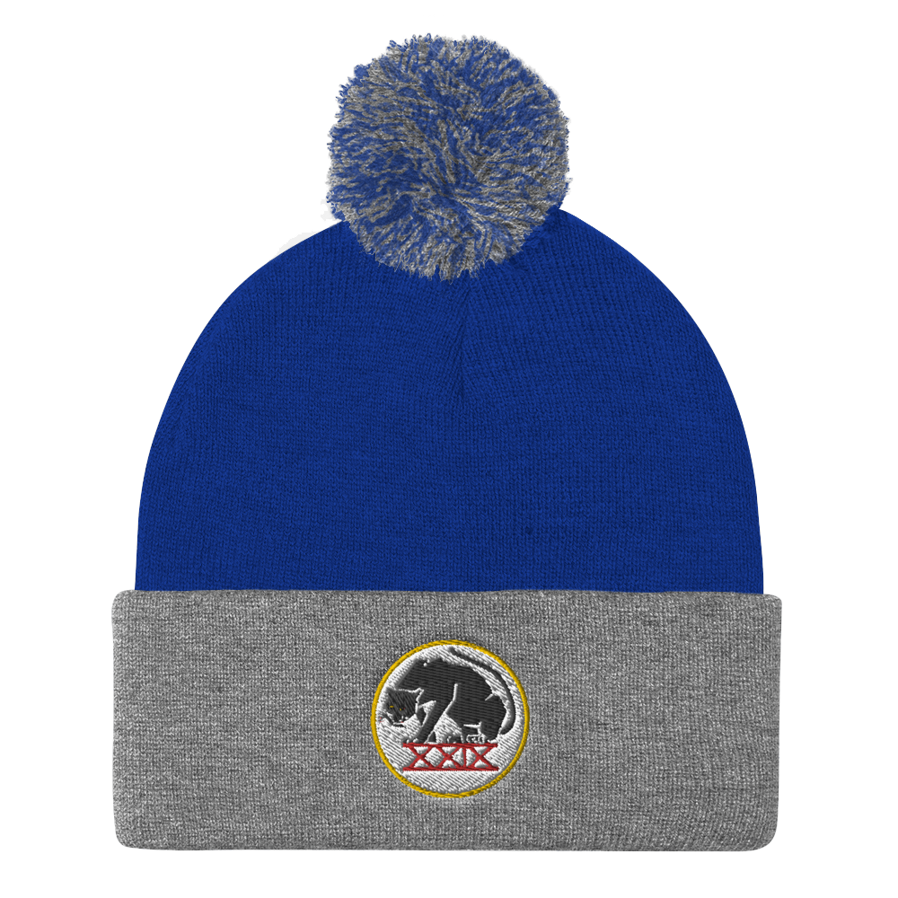 Panthers Pom Pom Knit Beanie Cap