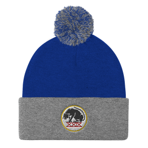 Panthers Pom Pom Knit Beanie Cap