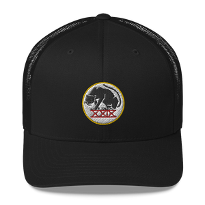 Panthers Trucker Cap