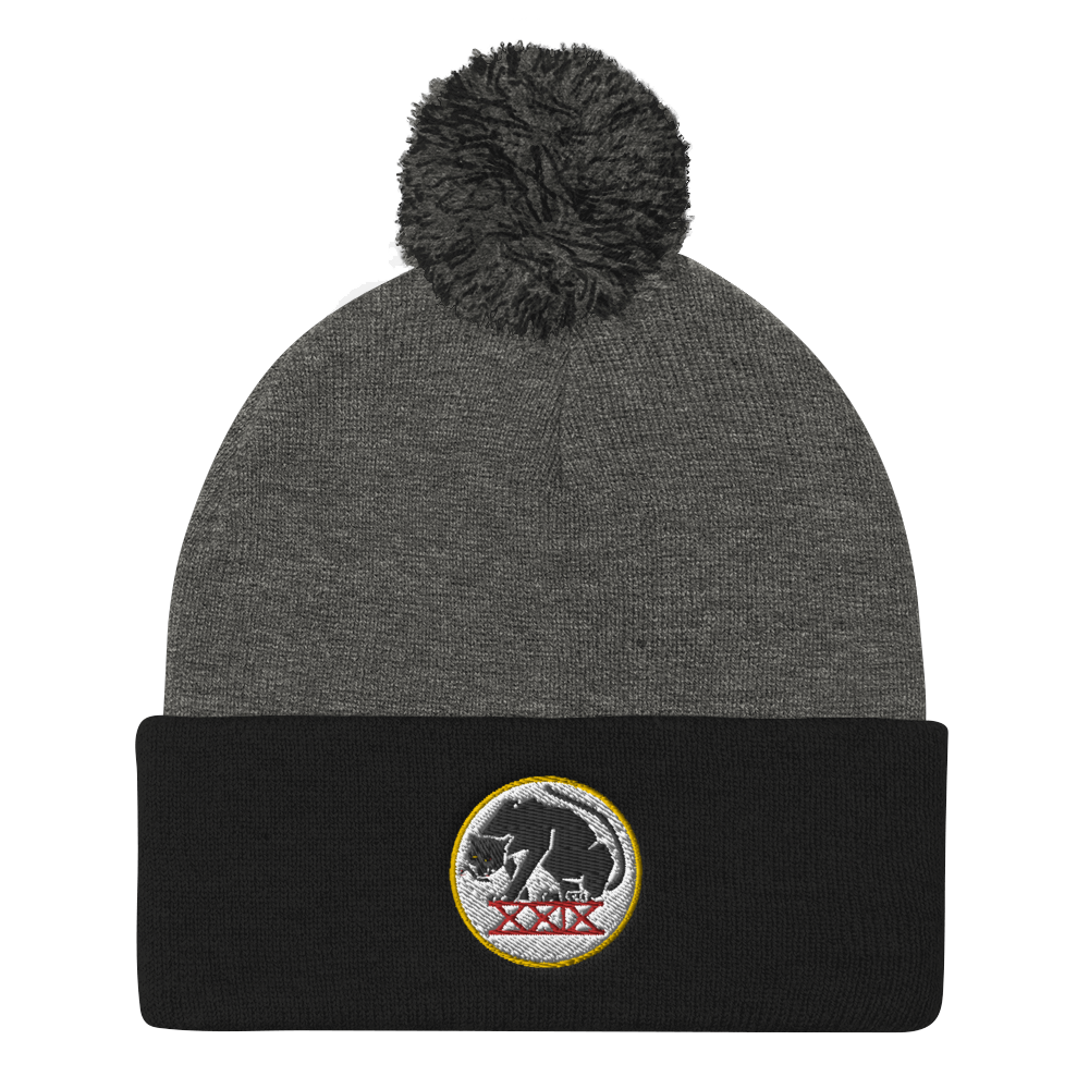 Panthers Pom Pom Knit Beanie Cap