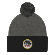 Load image into Gallery viewer, Panthers Pom Pom Knit Beanie Cap