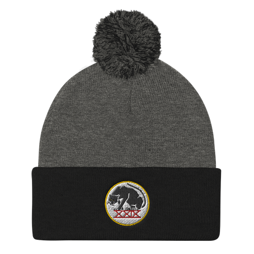 Panthers Pom Pom Knit Beanie Cap