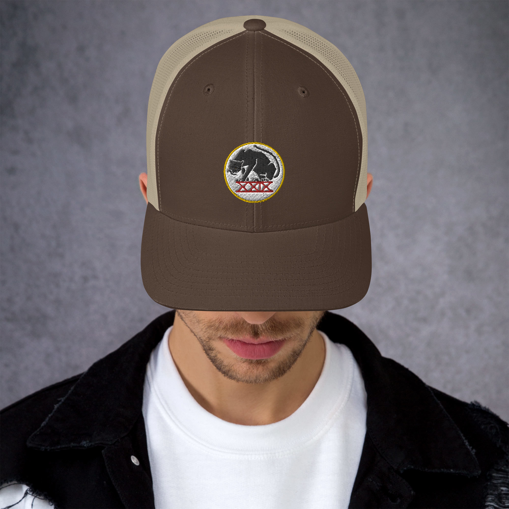 Panthers Trucker Cap