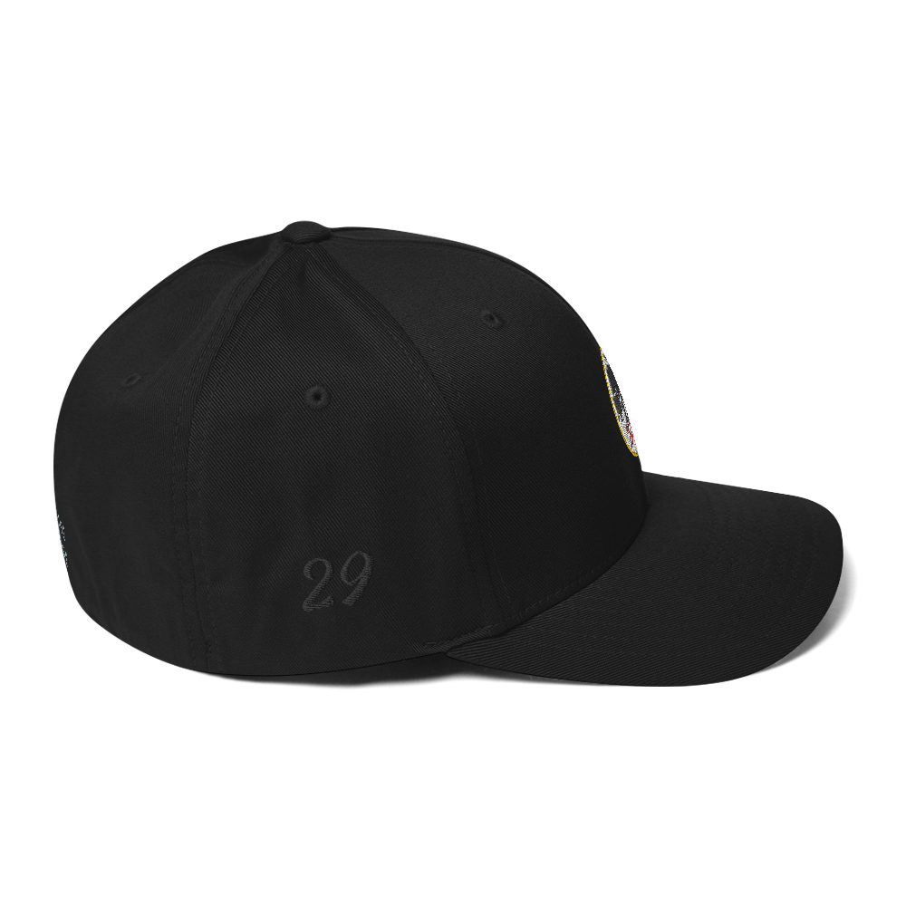 Panthers Fitted Cap