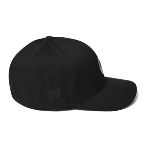 Panthers Fitted Cap