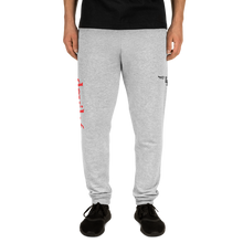 Load image into Gallery viewer, devil96 - Gray Sweatpants