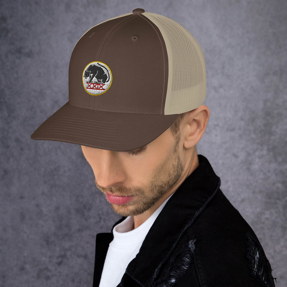 Panthers Trucker Cap