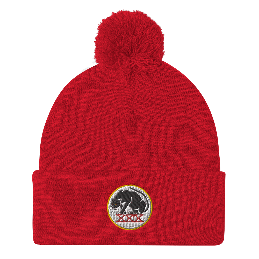 Panthers Pom Pom Knit Beanie Cap