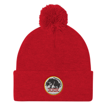 Load image into Gallery viewer, Panthers Pom Pom Knit Beanie Cap