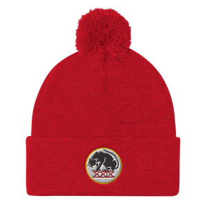 Panthers Pom Pom Knit Beanie Cap