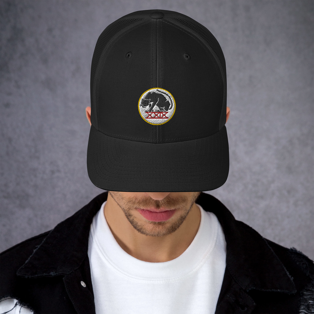 Panthers Trucker Cap