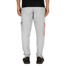 Load image into Gallery viewer, devil96 - Gray Sweatpants