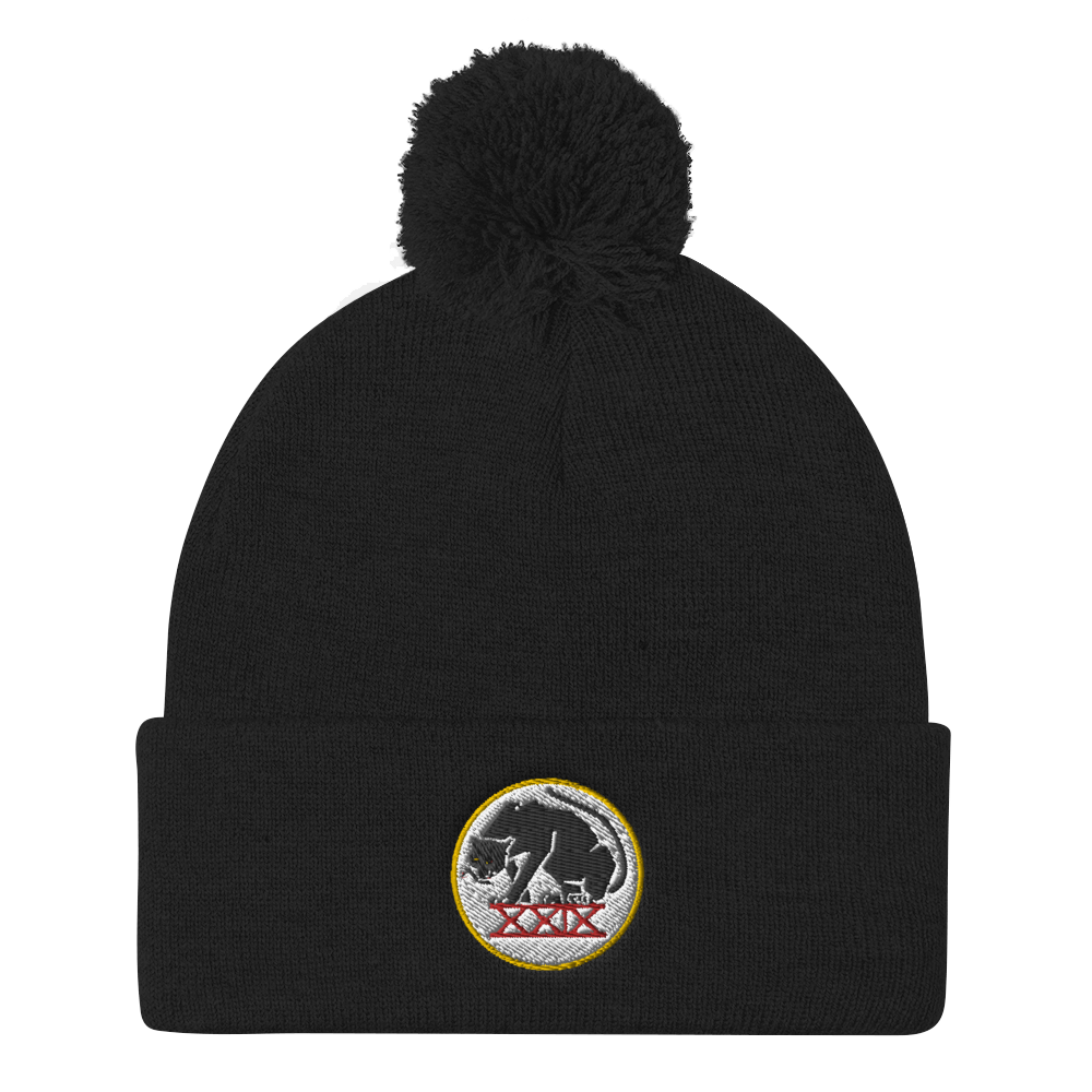 Panthers Pom Pom Knit Beanie Cap