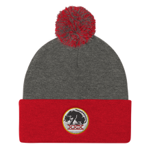 Load image into Gallery viewer, Panthers Pom Pom Knit Beanie Cap