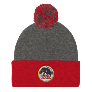 Panthers Pom Pom Knit Beanie Cap